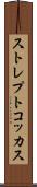 ストレプトコッカス Scroll