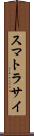 スマトラサイ Scroll
