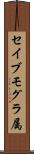 セイブモグラ属 Scroll