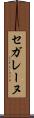 セガレーヌ Scroll