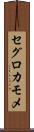 セグロカモメ Scroll