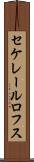 セケレールロフス Scroll