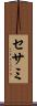 セサミ Scroll