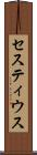 セスティウス Scroll
