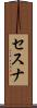 セスナ Scroll