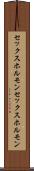 セックスホルモン Scroll