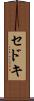 セドキ Scroll