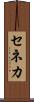 セネカ Scroll