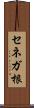 セネガ根 Scroll