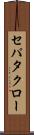 セパタクロー Scroll