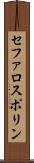 セファロスポリン Scroll