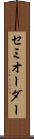 セミオーダー Scroll
