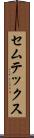 セムテックス Scroll
