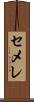 セメレ Scroll