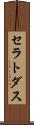 セラトダス Scroll