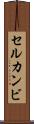 セルカンビ Scroll
