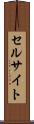 セルサイト Scroll