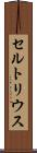 セルトリウス Scroll