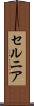 セルニア Scroll