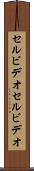 セルビデオ Scroll