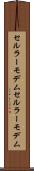 セルラーモデム Scroll