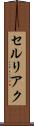 セルリアク Scroll