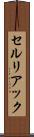 セルリアック Scroll