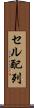 セル配列 Scroll