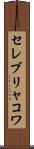 セレブリャコワ Scroll