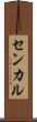 センカル Scroll