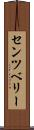 センツベリー Scroll