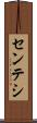 センテシ Scroll