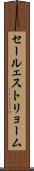 セールェストリョーム Scroll