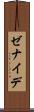Zenaide Scroll