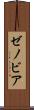 ゼノビア Scroll