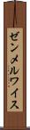 ゼンメルワイス Scroll