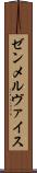 ゼンメルヴァイス Scroll