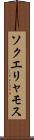 ソクエリャモス Scroll