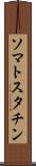 ソマトスタチン Scroll
