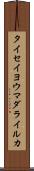 タイセイヨウマダライルカ Scroll