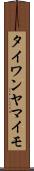 タイワンヤマイモ Scroll