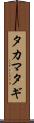 タカマタギ Scroll