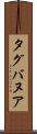 タグバヌア Scroll