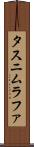 Tasnim Rafa Scroll