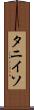 タニイソ Scroll