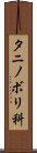タニノボリ科 Scroll