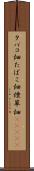 タバコ畑 Scroll