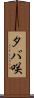 タバ咲 Scroll
