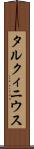 タルクィニウス Scroll