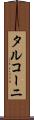 タルコーニ Scroll